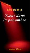 Yseut dans la pénombre